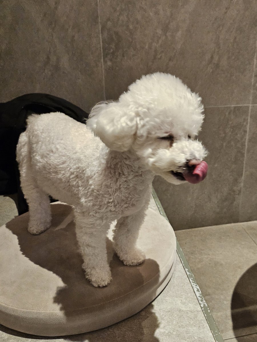 ❄️얼음별 tweet media