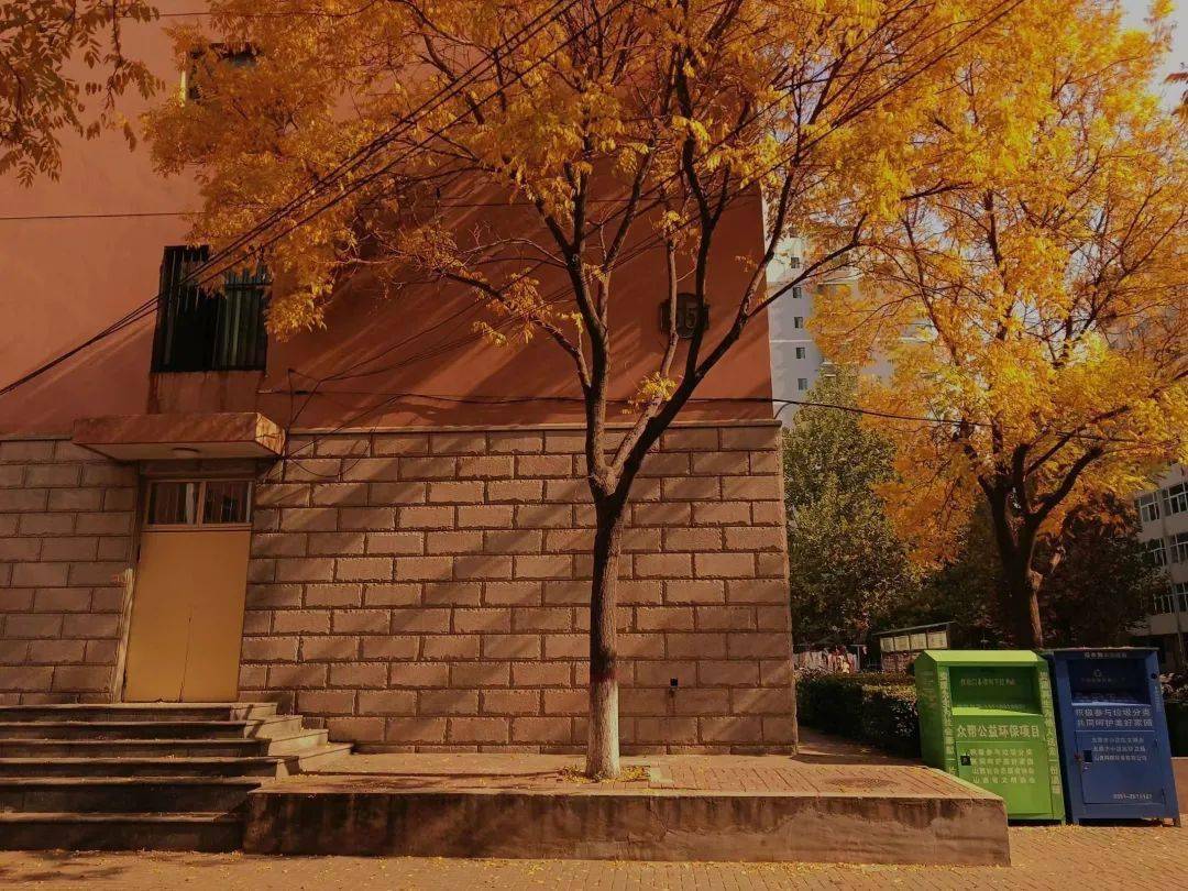 Jayne Pascoe tweet media