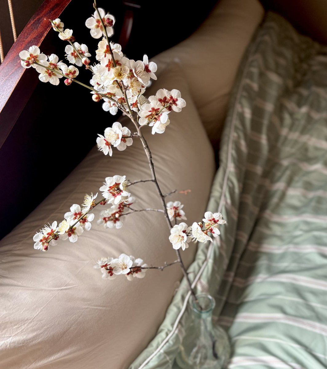 your best.S. tweet media