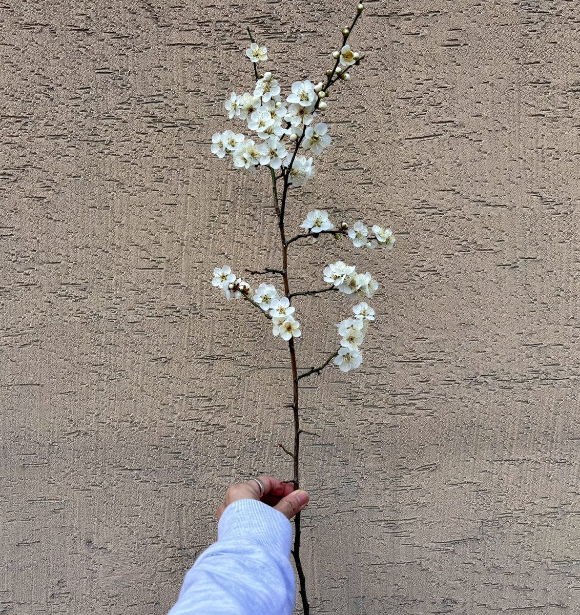 your best.S. tweet media