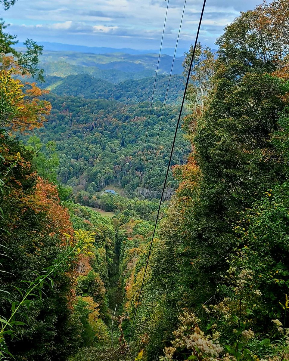 Grey Wolff tweet media