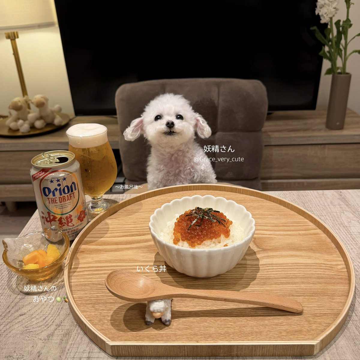 しろい妖精さん tweet media