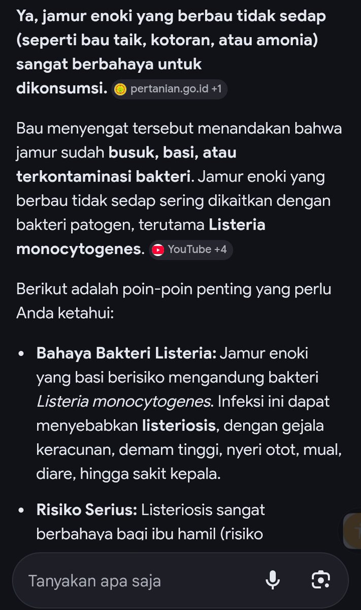 𝐠𝐚𝐦𝐚𝐥𝐢𝐞𝐥 tweet media