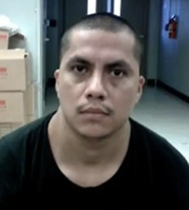 I Meme Therefore I Am 🇺🇸 tweet media