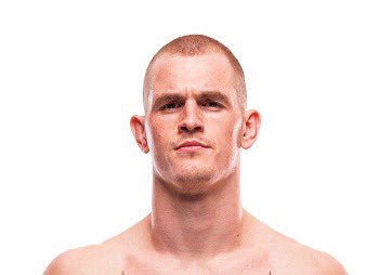 Blind Bear 🐻🕶️ tweet media