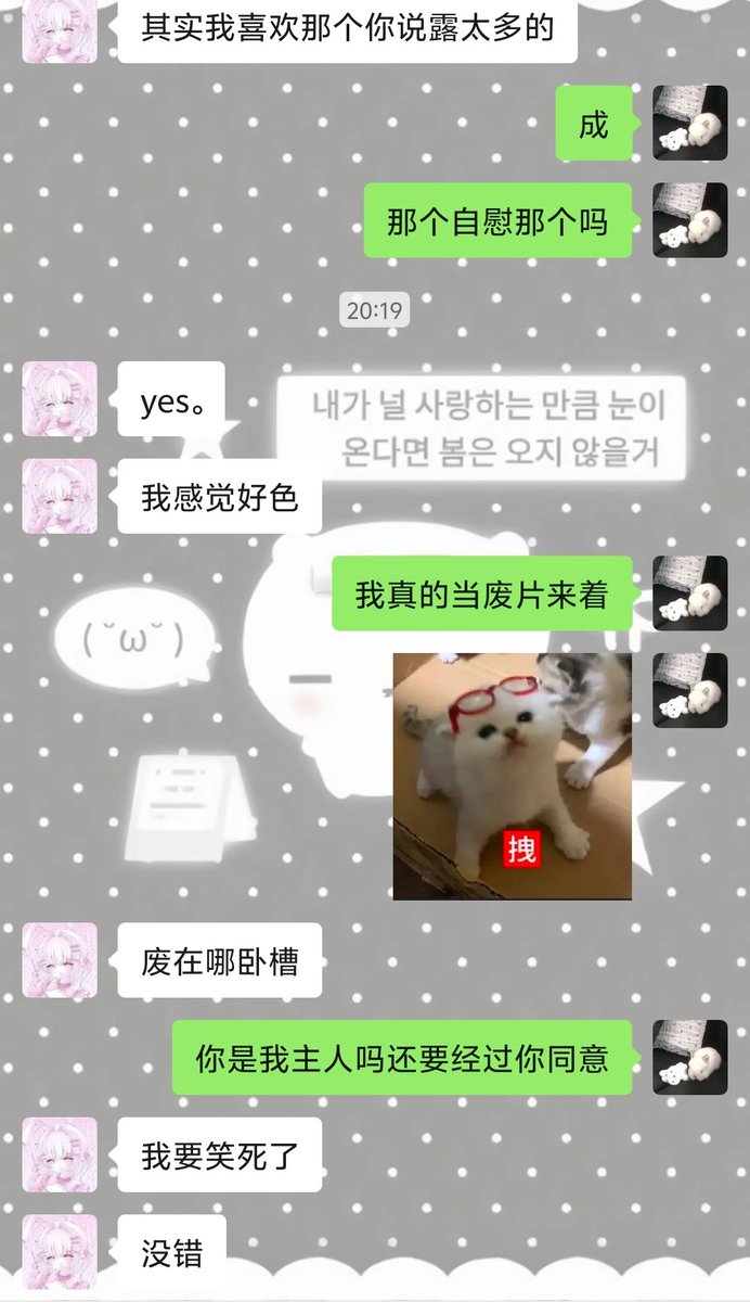 辱追小咪 tweet media