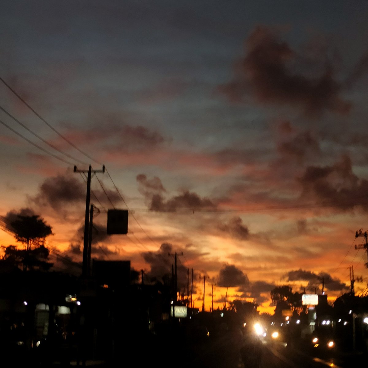 Eleanora. tweet media