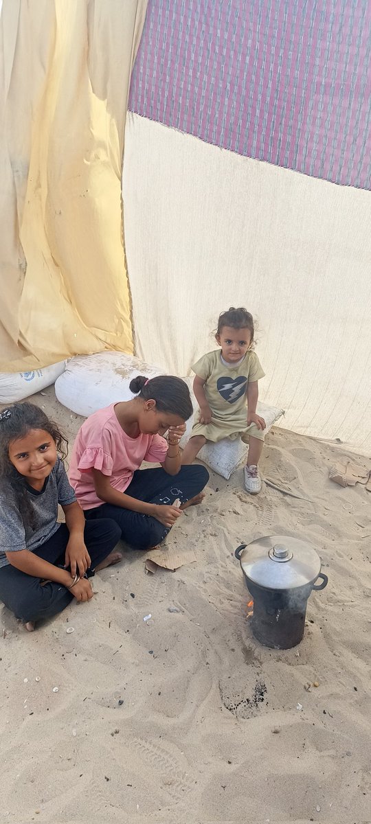 Jamil𓂆🇵🇸 tweet media