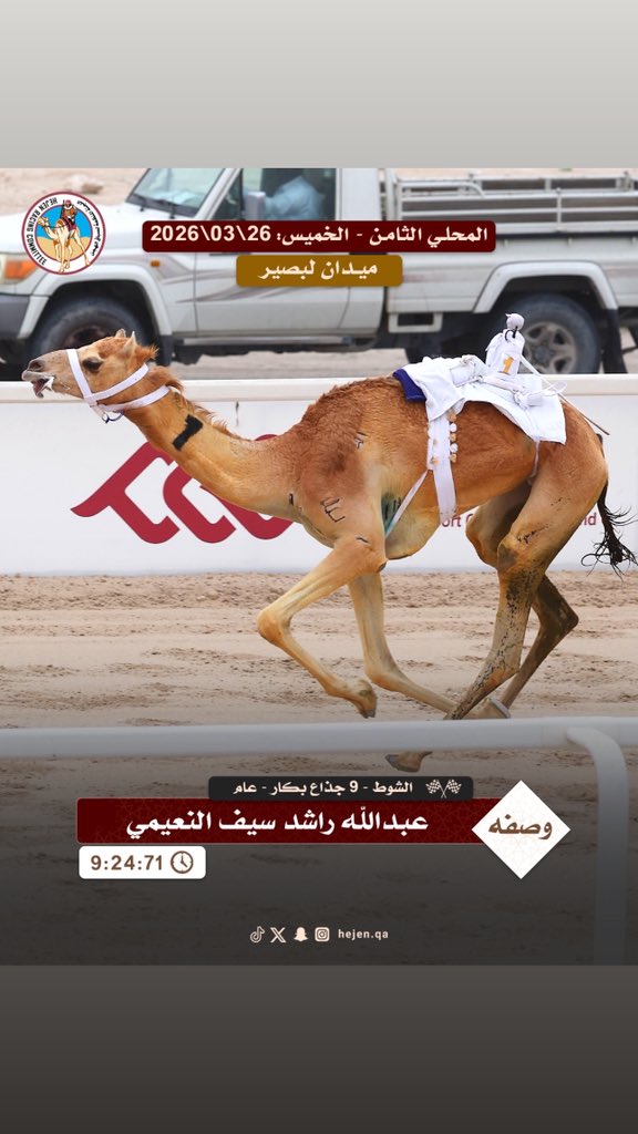 اللجنة المنظمة لسباق الهجن tweet media