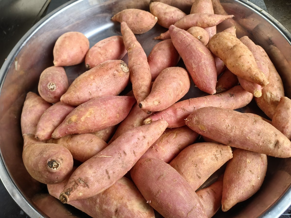 difker difker difker tweet media