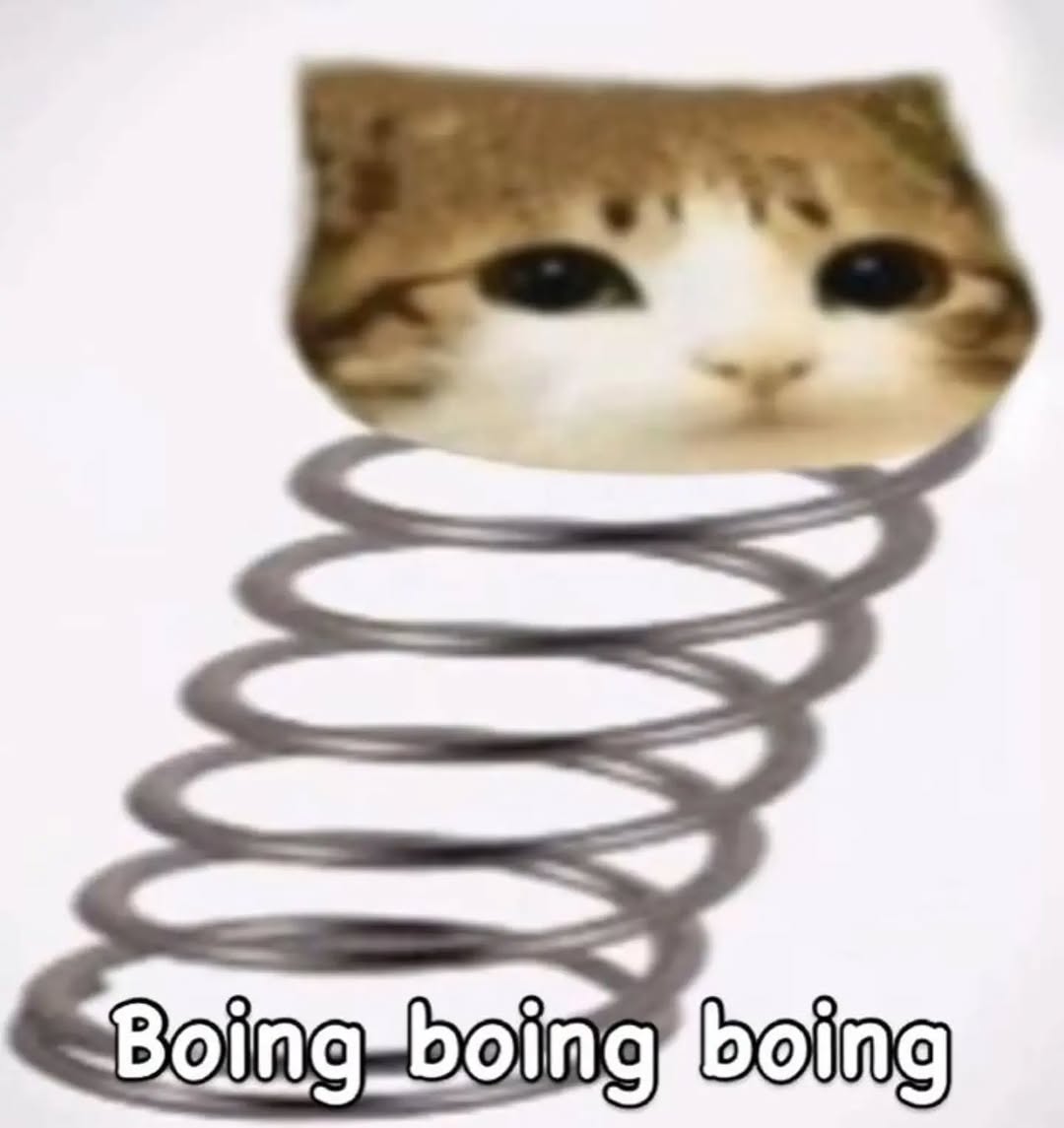 Vishakha Supremacy (tunak tunak era) tweet media