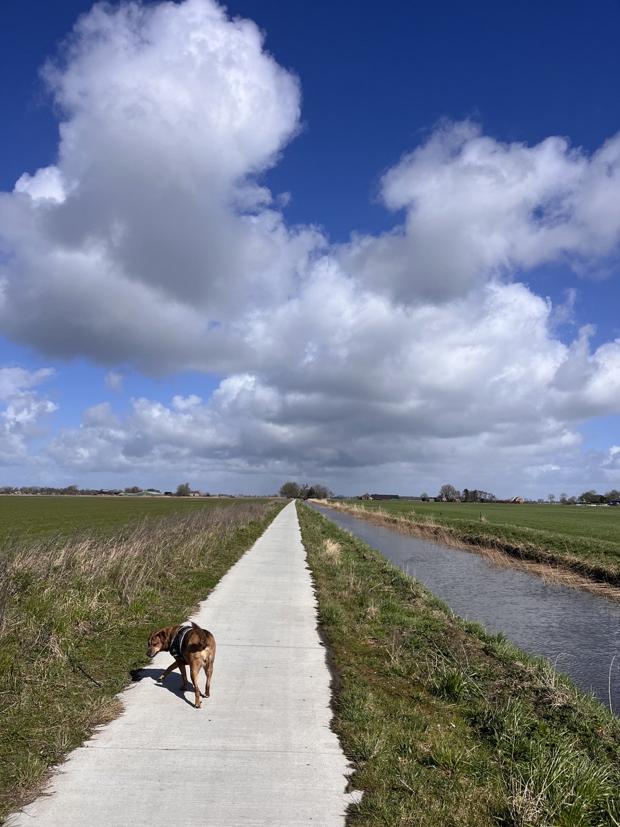 FrautjeCum tweet media