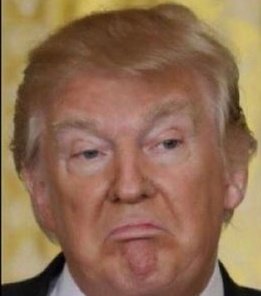 MIKDUB🇺🇸🍀🌊 tweet media