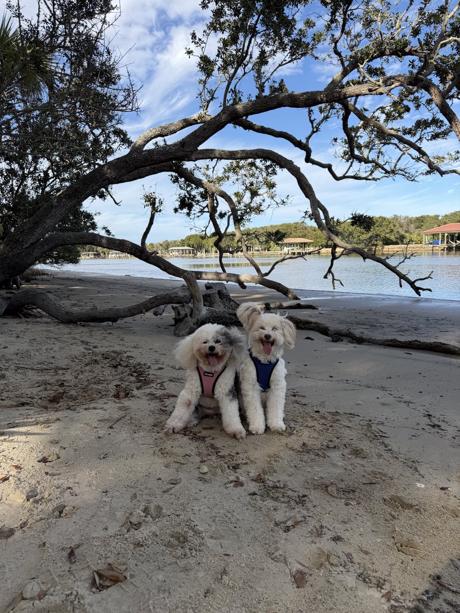 We love our park adventures!! 🌴☀️