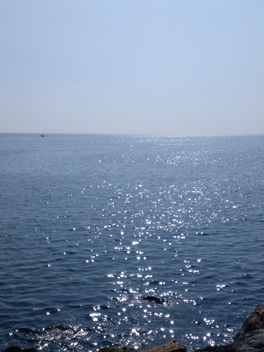 Deniz Kamoy (@tengeronur) on Twitter photo 