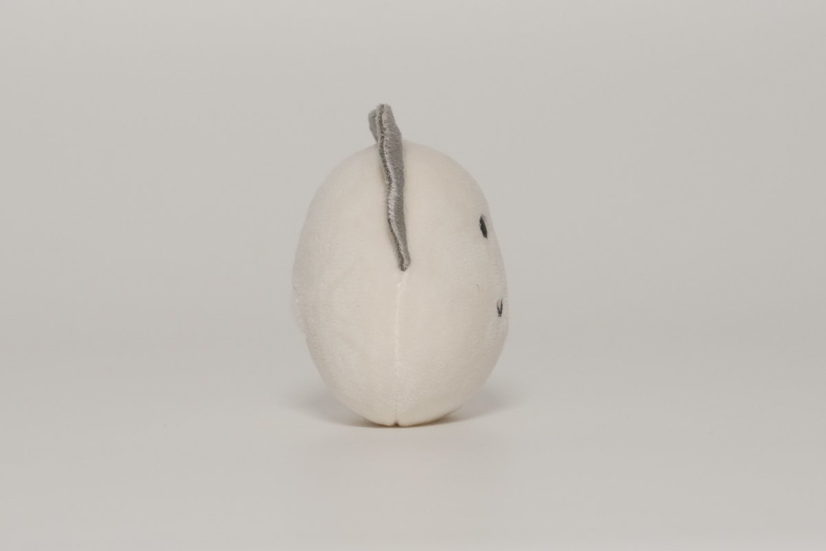 れれれ🦪 tweet media