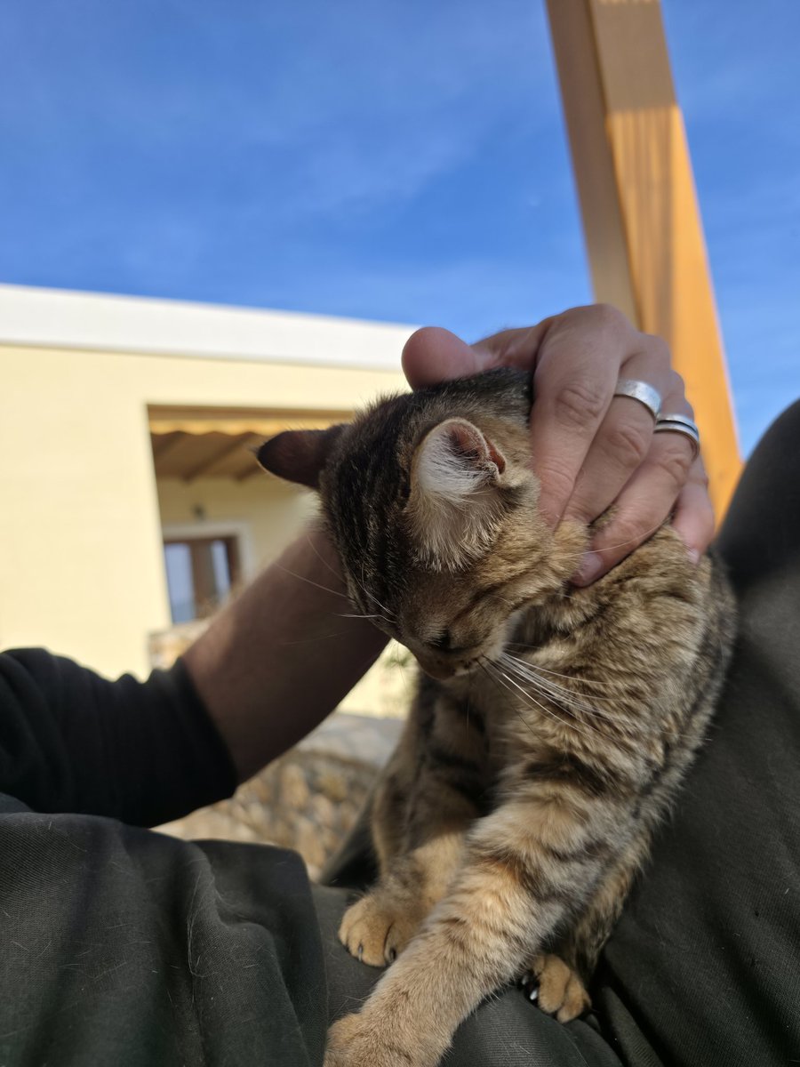 Mr Katz 🇬🇧🇬🇷🇮🇱 tweet media