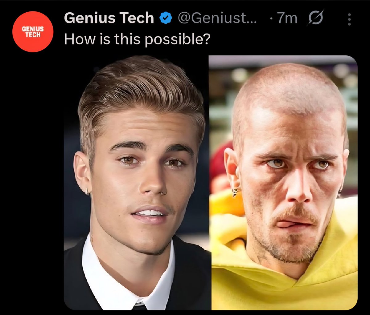 Just your average MAGA patriot tweet media