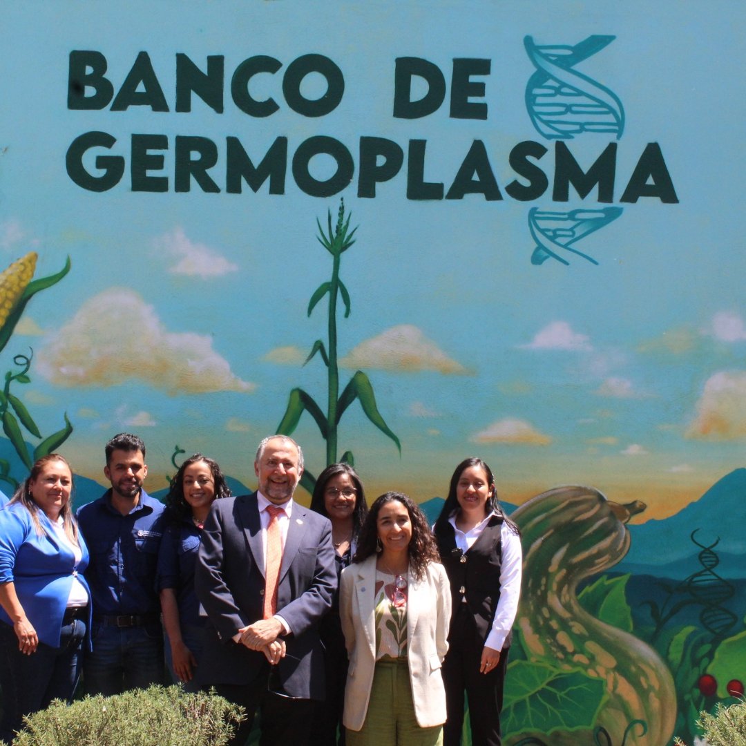 CropTrust's tweet photo. This week, @ICTAGuate opened a new genebank cold storage facility, following its first deposit to the Svalbard Seed Vault.

Supported by the Emergency Reserve Fund for Genebanks through the #BOLDProject, it’s a key step toward the future of Guatemala’s agriculture. https://t.co/u4VpMrTiqz
