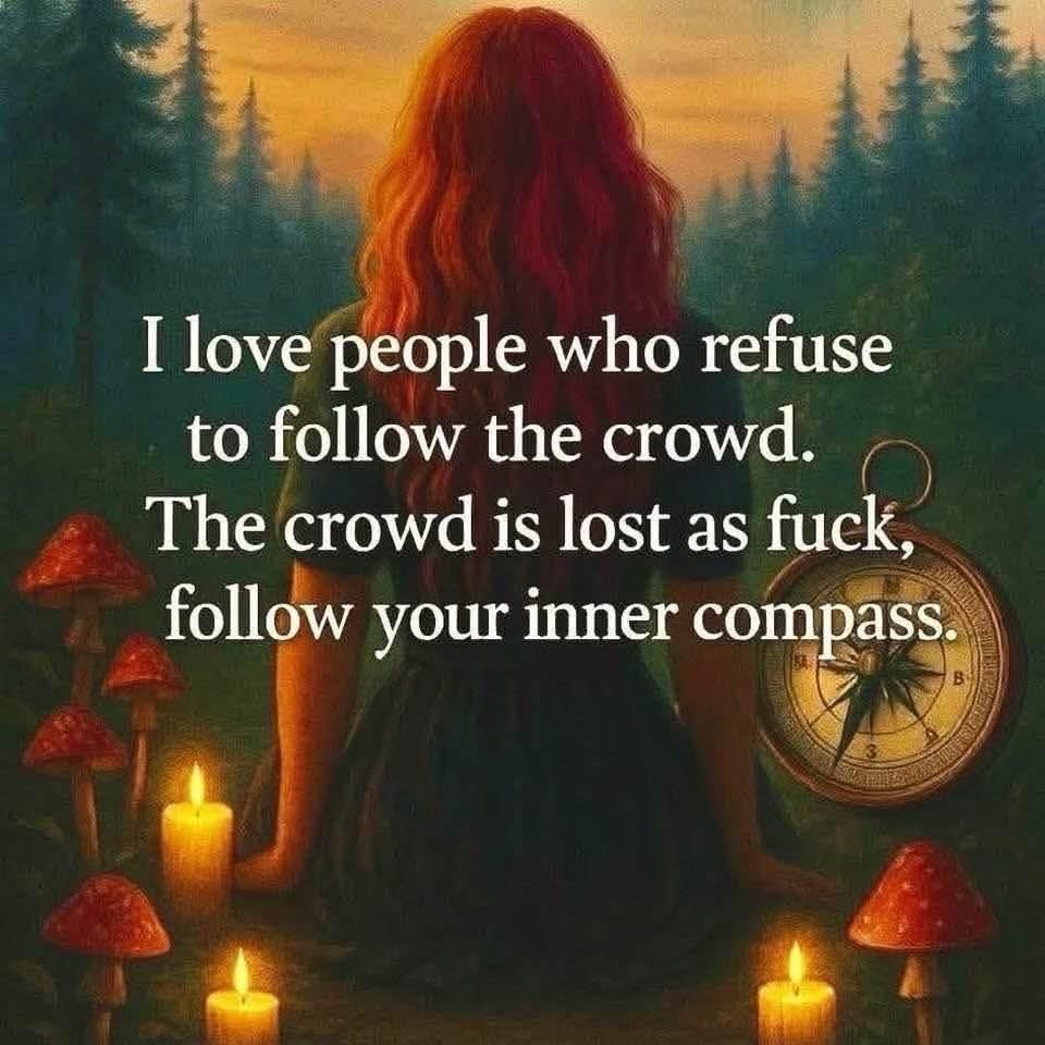 🧬Maxpein🧬 tweet media