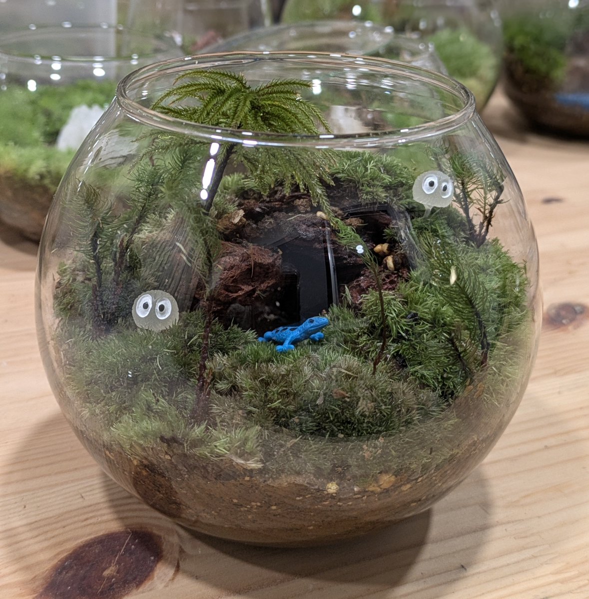 みなさんこんばんは！MOSS OASISの藤田です。
本日はアトリエにてワークショップを実施しました！
はじめての苔テラリウムづくりチャレンジということでしたが、ステキな苔テラリウムを作っていただきました！
洞窟のデザインにコウヤマンネンソウがステキです！
では本日のみなさんの作品をどうぞ！