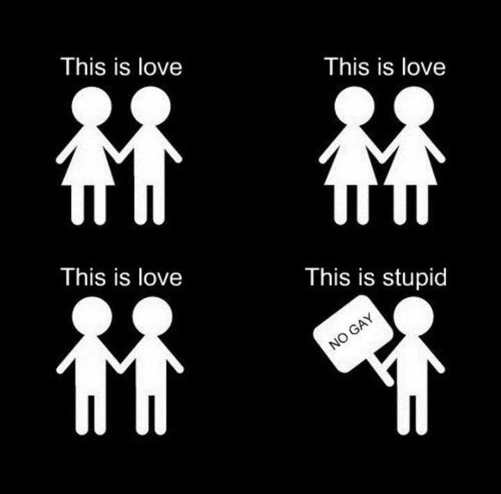 🏳🌈Silspire ^W^🏳🌈 tweet media