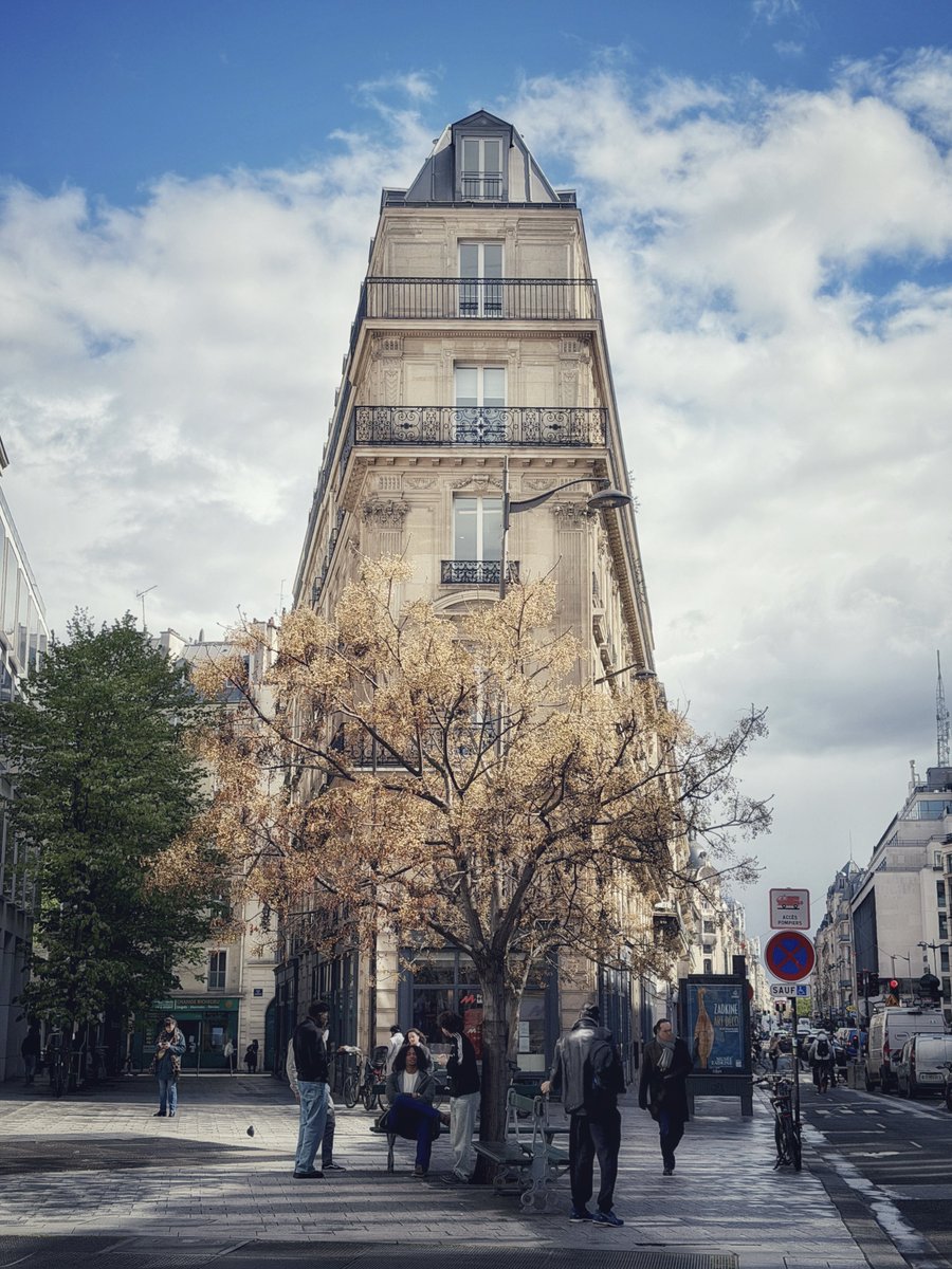 Doug@宮古島🐕 tweet media