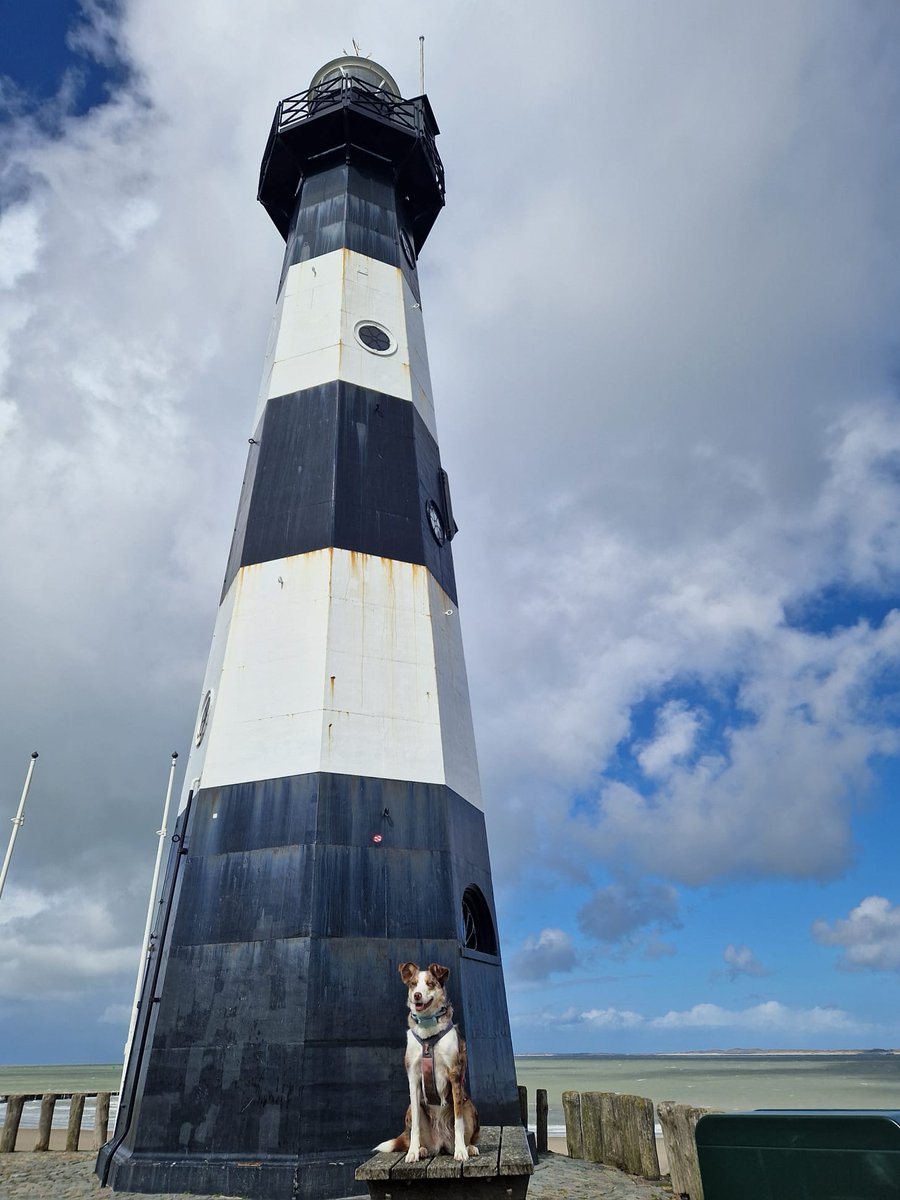 Denkjewel tweet media