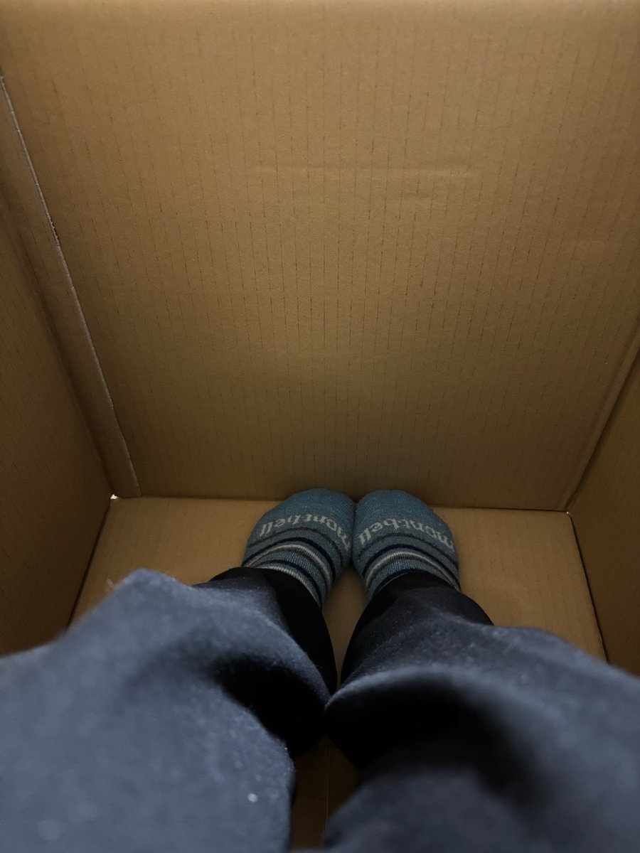 erisuke0825's tweet photo. 無印良品の頑丈収納ボックス特大を買いました。今日届きました。ダンボールが大きかったので私（153cm）なら収まるのではと思い入ってみました。エスパー伊東スタイルで無事に収まりました。ダンボールに入りたがる猫の気持ちがわかる気がします🐈
#無印良品週間 https://t.co/JY2WTMfNsz