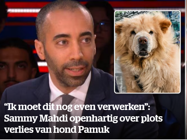 Dirk Vandebergh tweet media