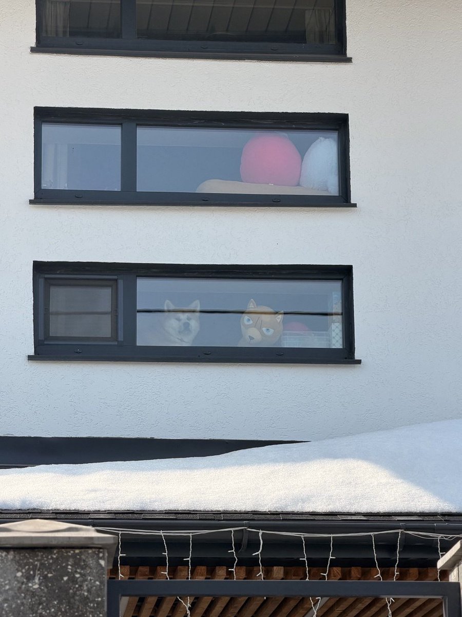 татарин из уфы tweet media