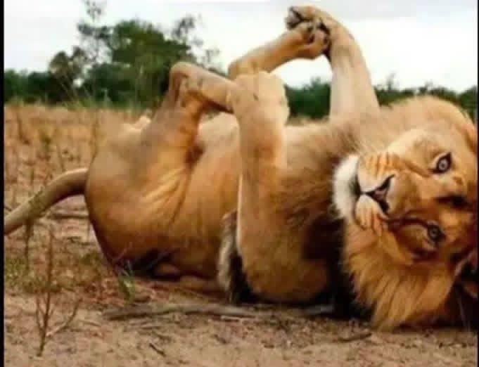 روح سيئة tweet media