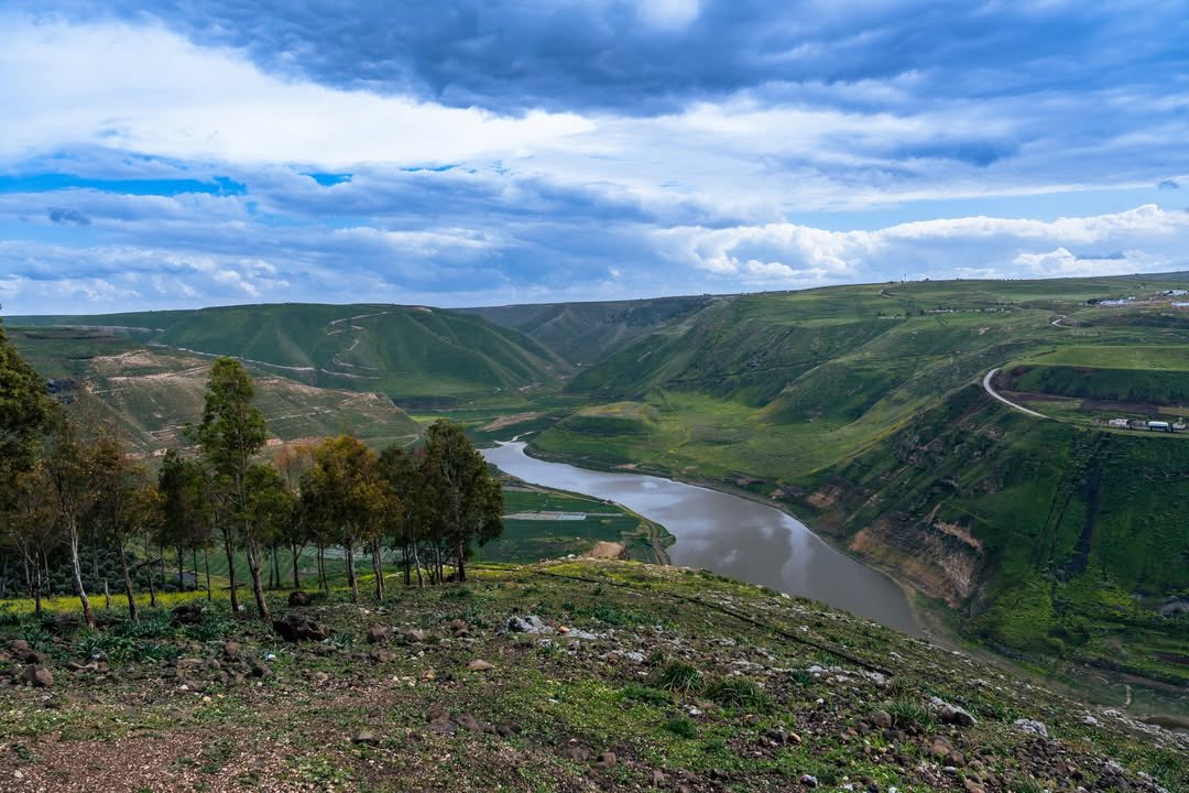 مُضَر | Modar tweet media