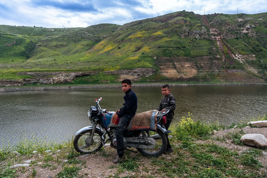 مُضَر | Modar tweet media