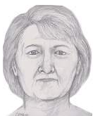 The Doe Network tweet media