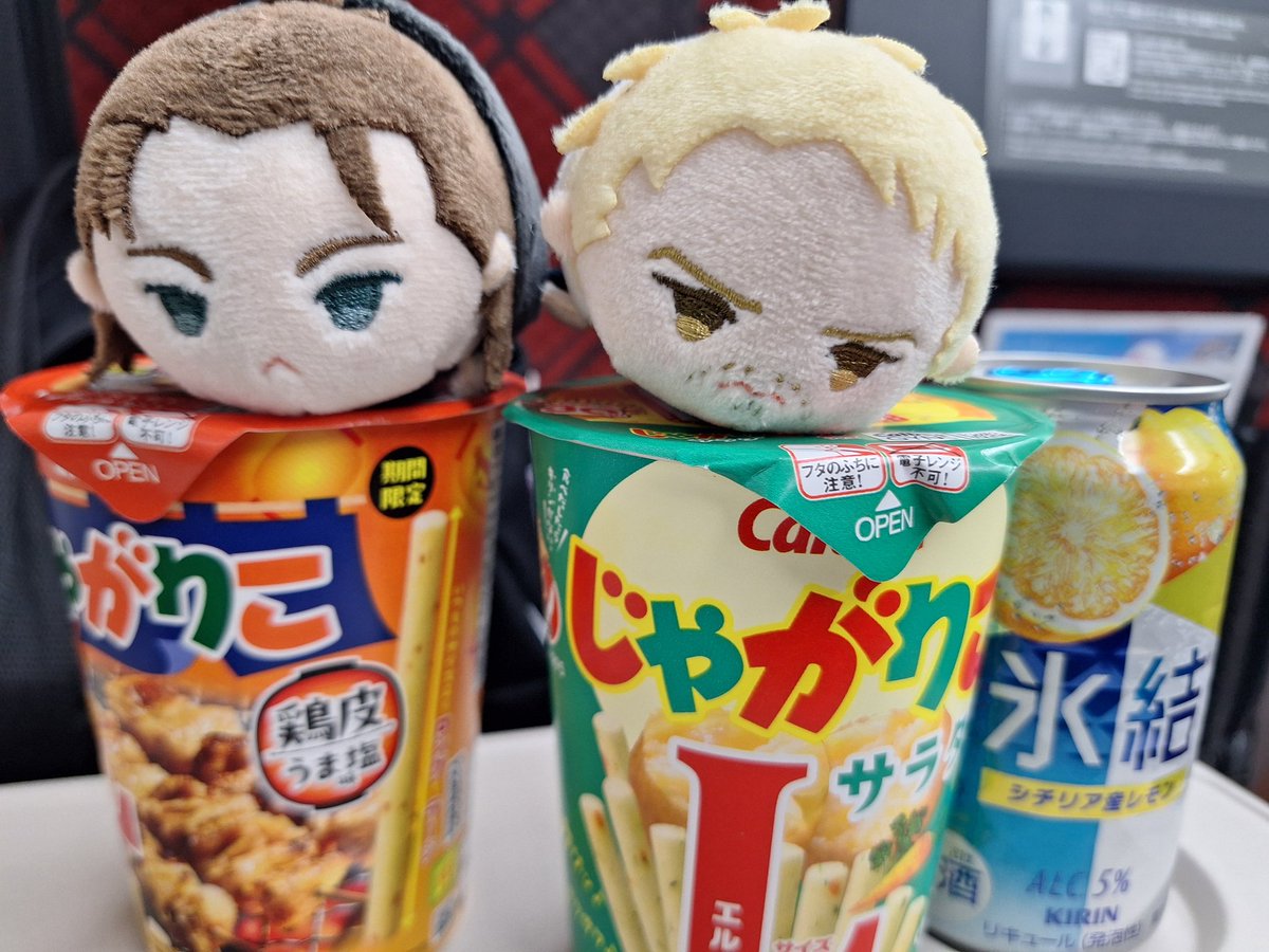 家族旅行にあとから合流するために新幹線に乗るぞい