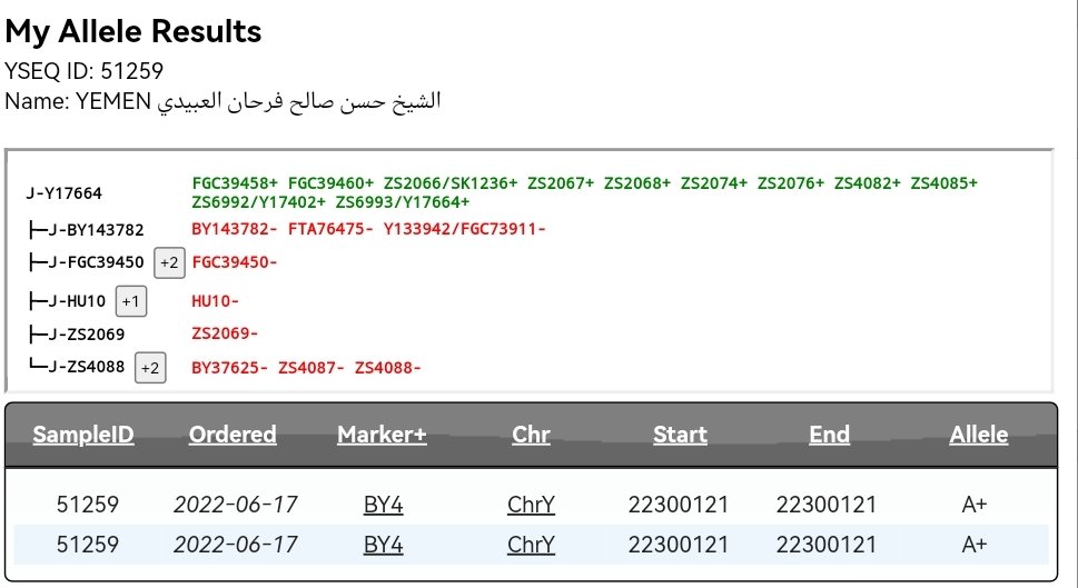 saleh ali tweet media