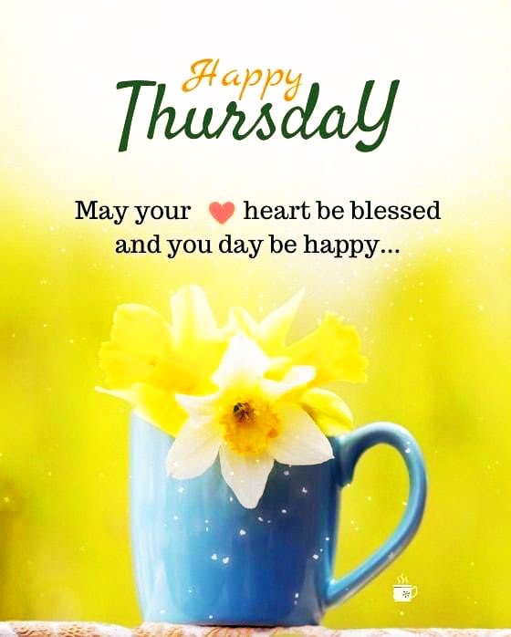 🌷Jenn🌷🏒⚾️🏀 tweet media