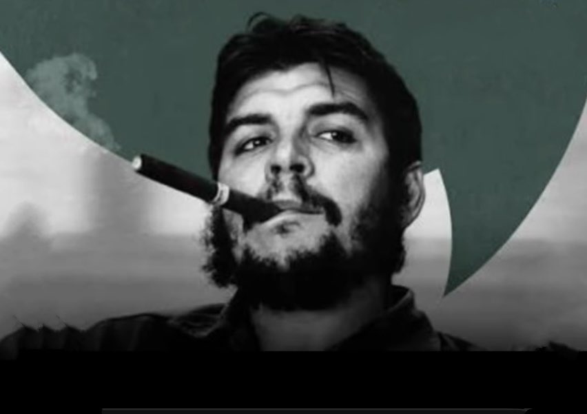 فهلوي tweet media