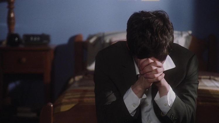 spider ✧ tweet media