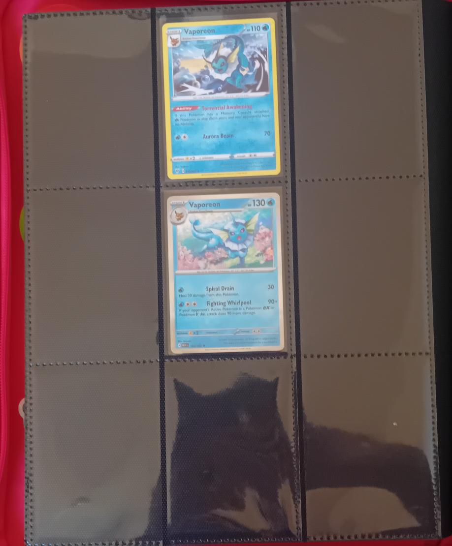 BunnyRei/LittleMaddox tweet media