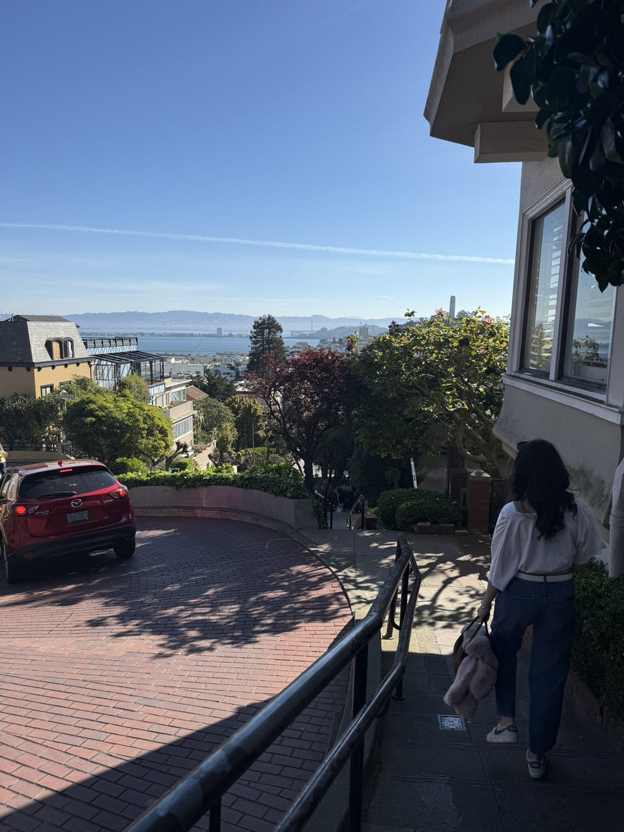 zaf 🌞🛩️ tweet media