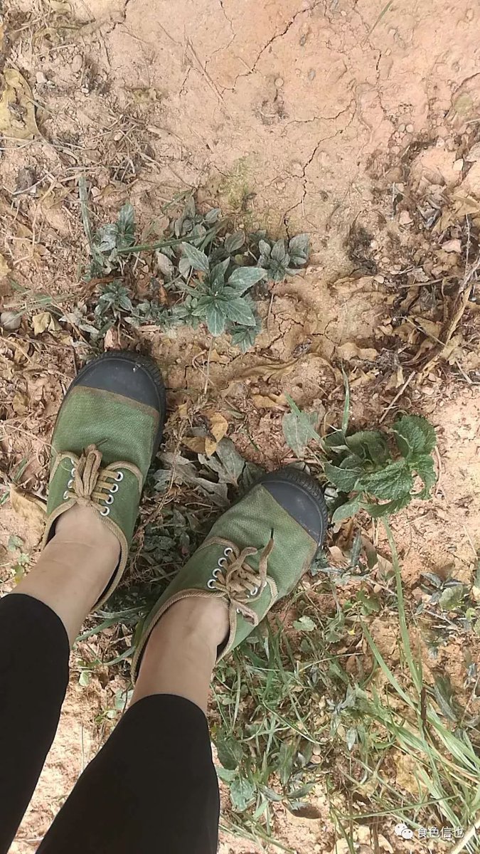 Rodrigo Moreira tweet media