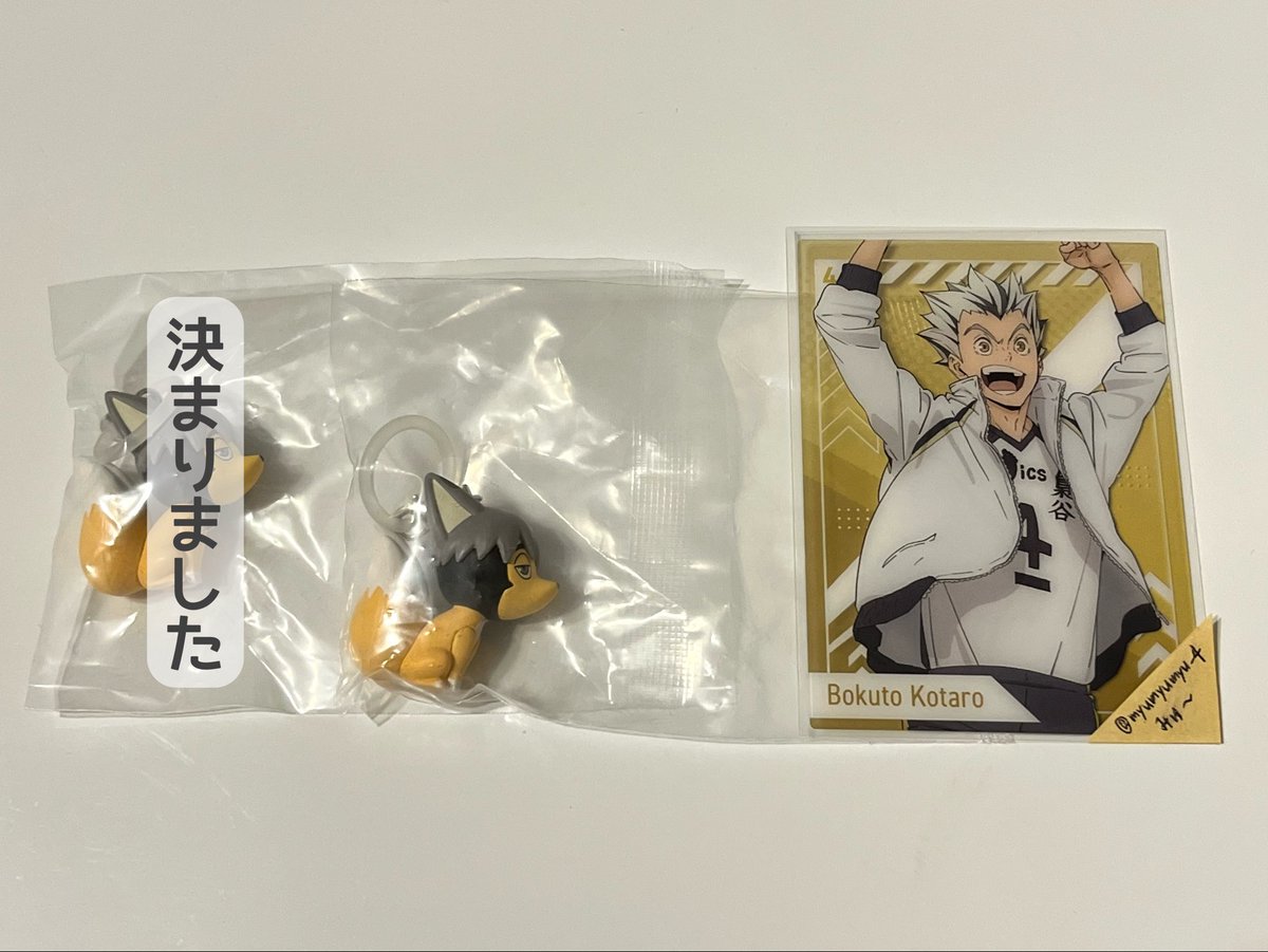 みゅ〜 tweet media