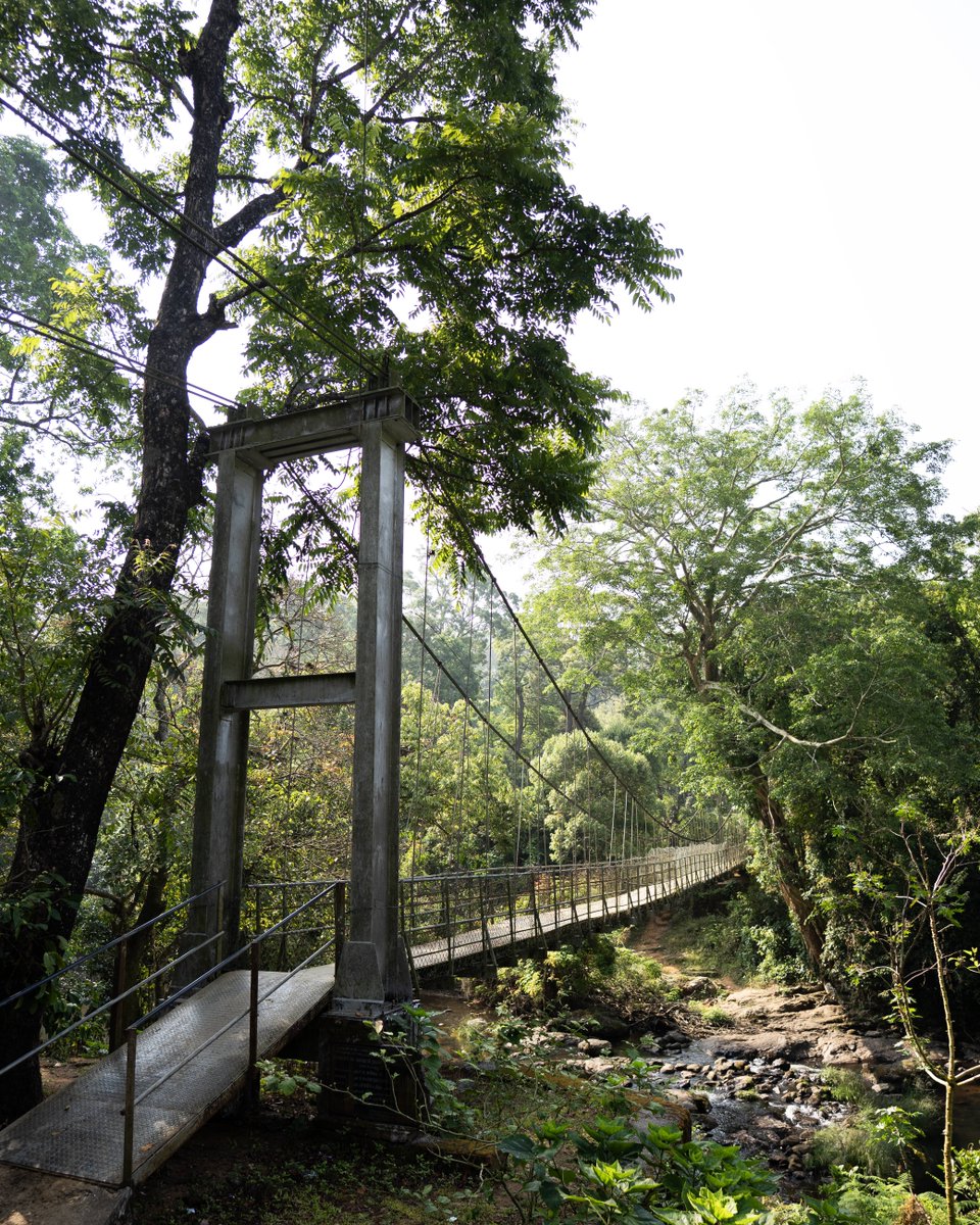 SIGMA India tweet media