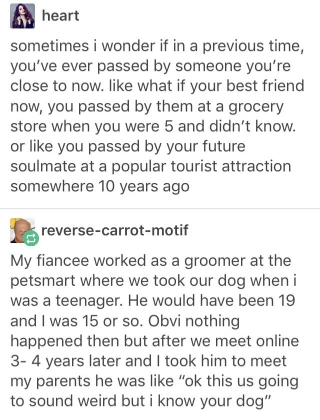 Wolf of X tweet media