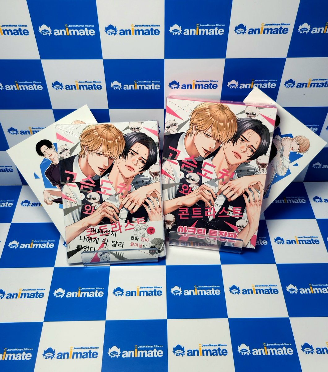 animate 서울홍대점 tweet media