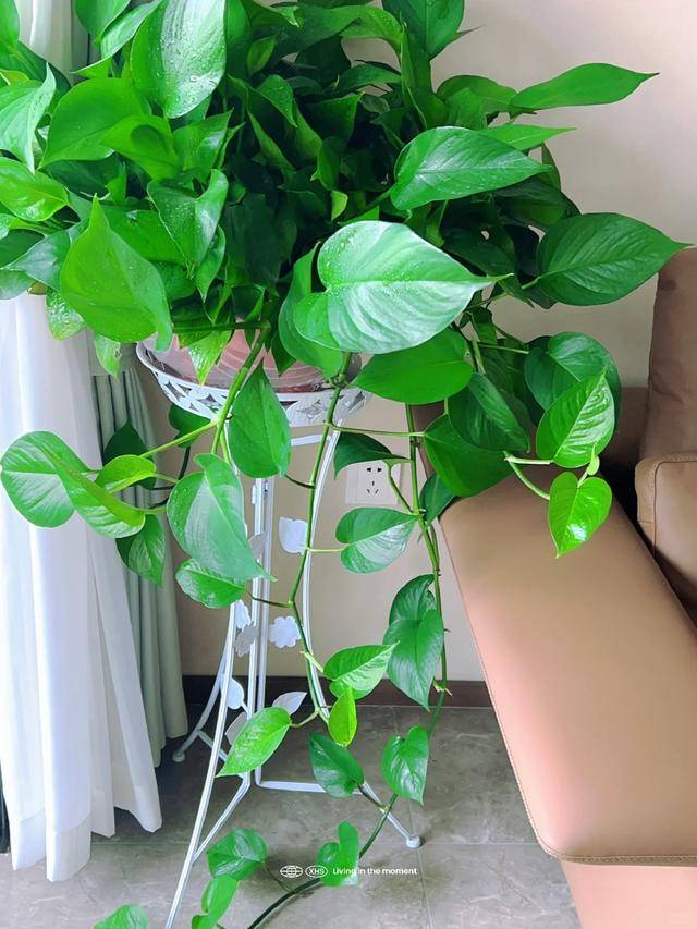 Lisa-Marie Eckardt tweet media