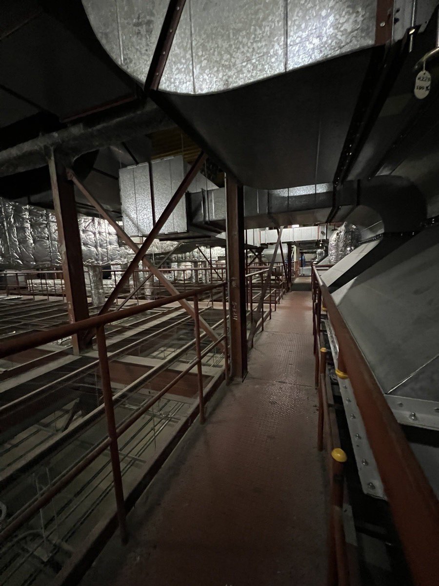 京都下鴨茶論🦆 tweet media