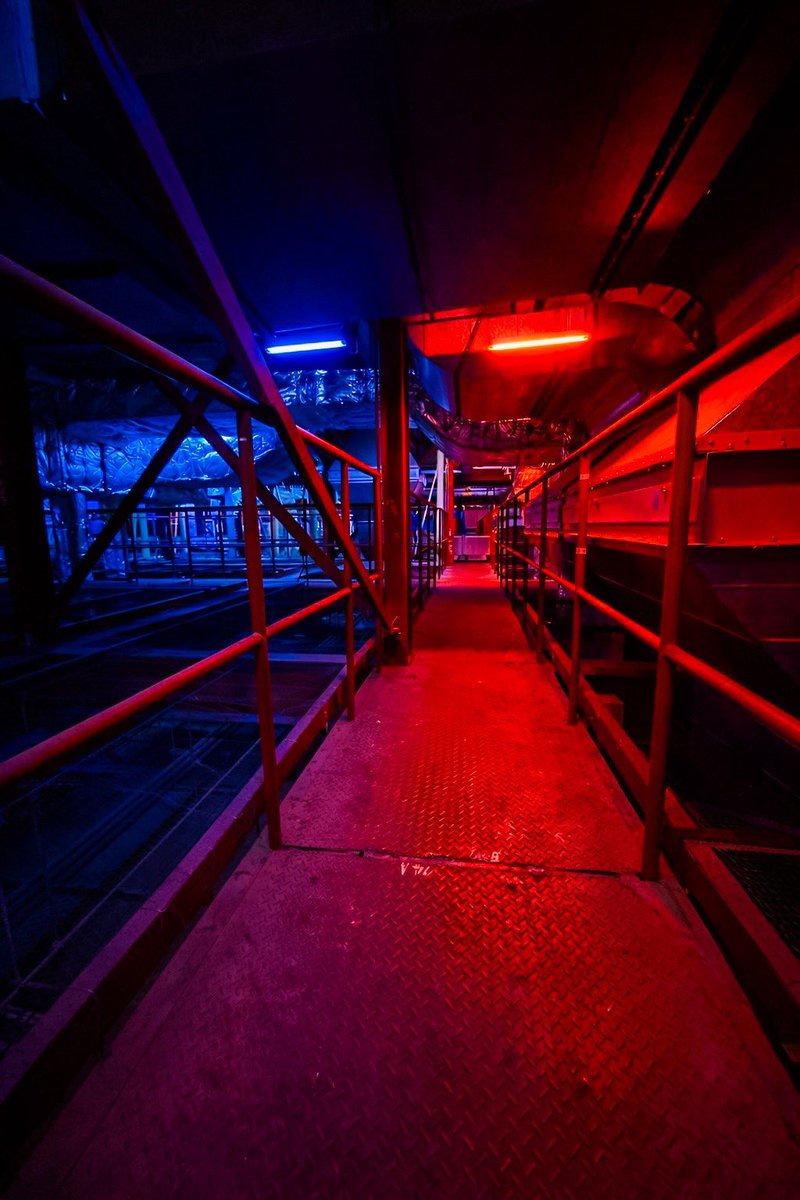 京都下鴨茶論🦆 tweet media